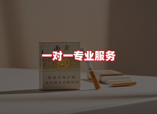 专业团队